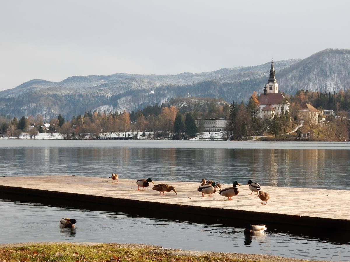 Lake House Sebanc Bled Exterior foto